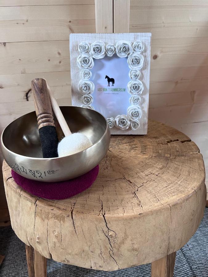 Ontwaken Tussen De Paarden Bed & Breakfast Zoutleeuw Luaran gambar